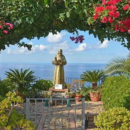 Luxury Joy In